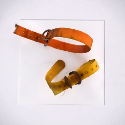 two old dog collars in orange and yellow