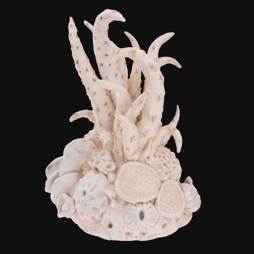 close-up bleached coral ceramic form, curved lines and textural features, tentacle detail extending up.