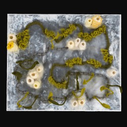 aerial perspective of knitted green seaweed and yellow coral forms inside a white square structure