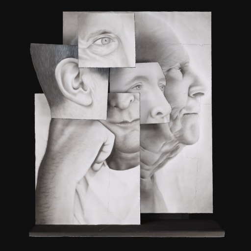 multiple panels of portait detailing, an eye, ear, nose, hand and profile, illustrated in black and white overlapping one another, standing on black base.